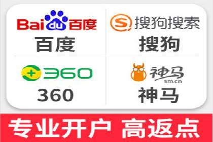 某某sem推广公司在某行业的应用与效果分析